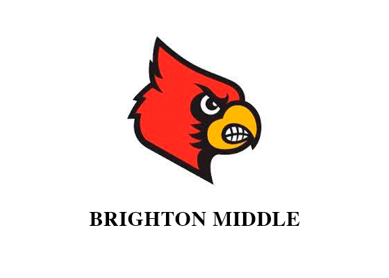 Brighton High School Cardinals Baseball